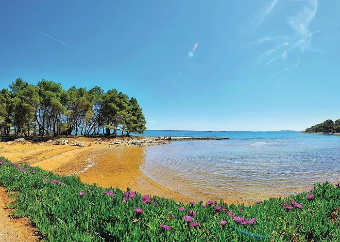 شقة Cozy In With Wifi *